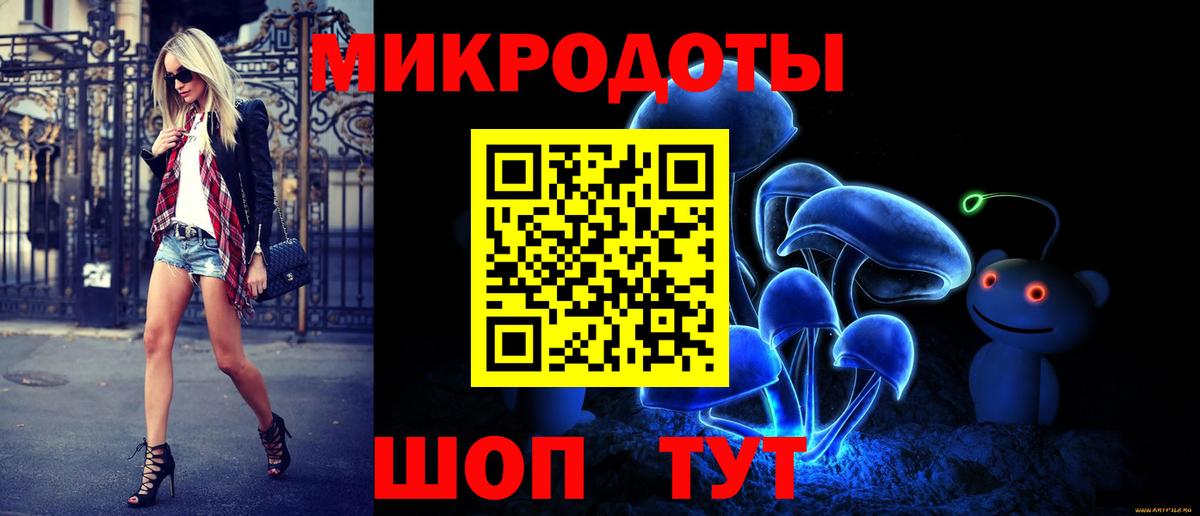 Псилоцибиновые грибы Psilocybe Артёмовский